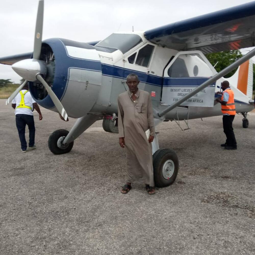 Marsabit: Residents say aerial spraying of locusts yet to start despite government's promise