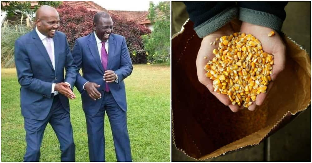 The government plans to import 10 million bags of maize over the next six months.