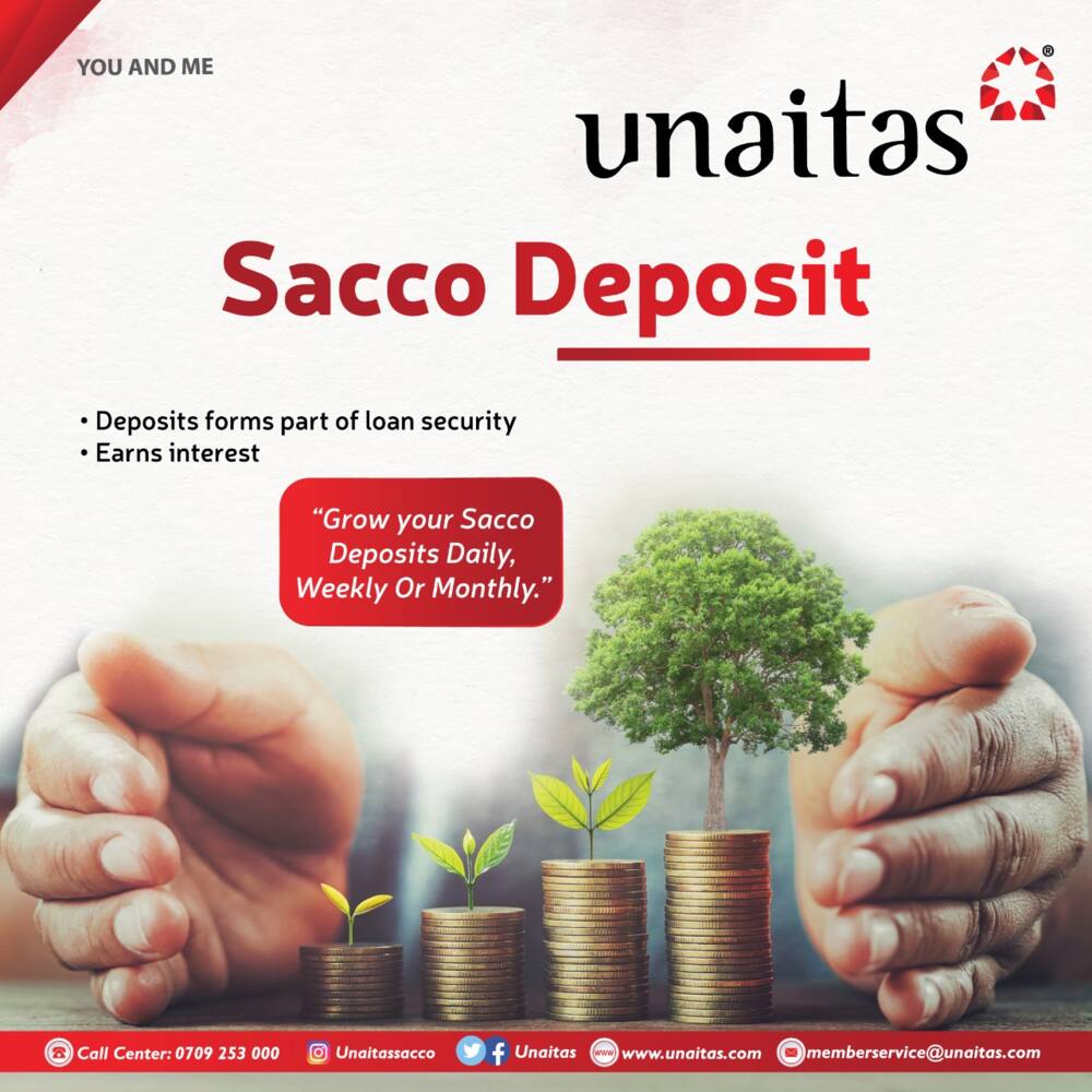 How do Kenyan SACCOs work?