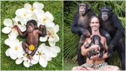 Excited Man Holds Photoshoot for Newborn Monkey as If It Was Human Baby