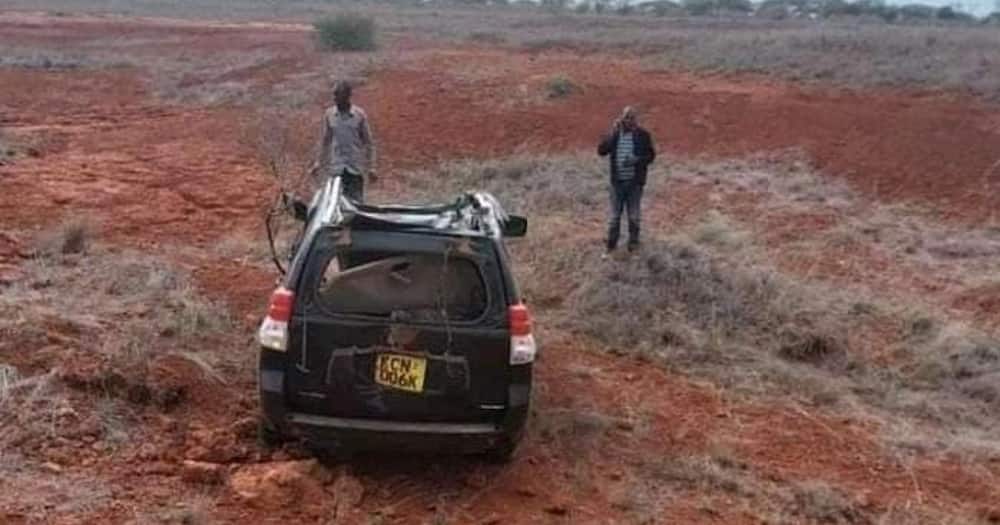 Taita Taveta: Woman Accompanying MCA Dies on Spot after Their Car Hits Giraffe at Tsavo