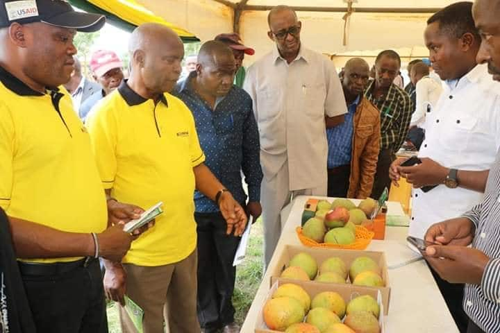 Makueni: Governor Kibwana launches second fruit processing factory