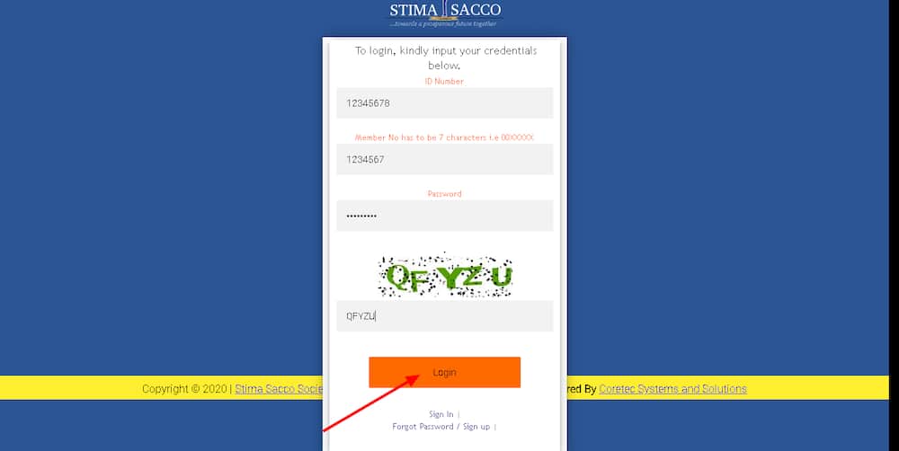 Stima Sacco loans types