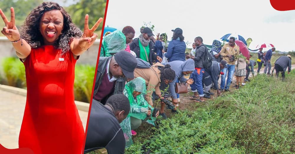 Charlene Ruto stunned by the massive turnup of Kenyans to plant trees at Nairobi National Park.