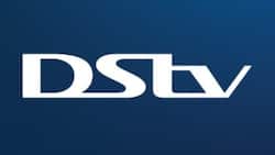 List of movie channels on DStv, packages, and prices in 2023