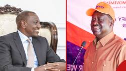 William Ruto Hints All East African Presidents Are Backing Raila's AU Bid: "We've Agreed"