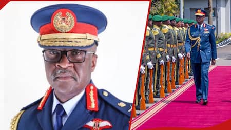 Kenya Defence Forces Top Military Ranks Francis Ogolla Rose Through to Become CDF