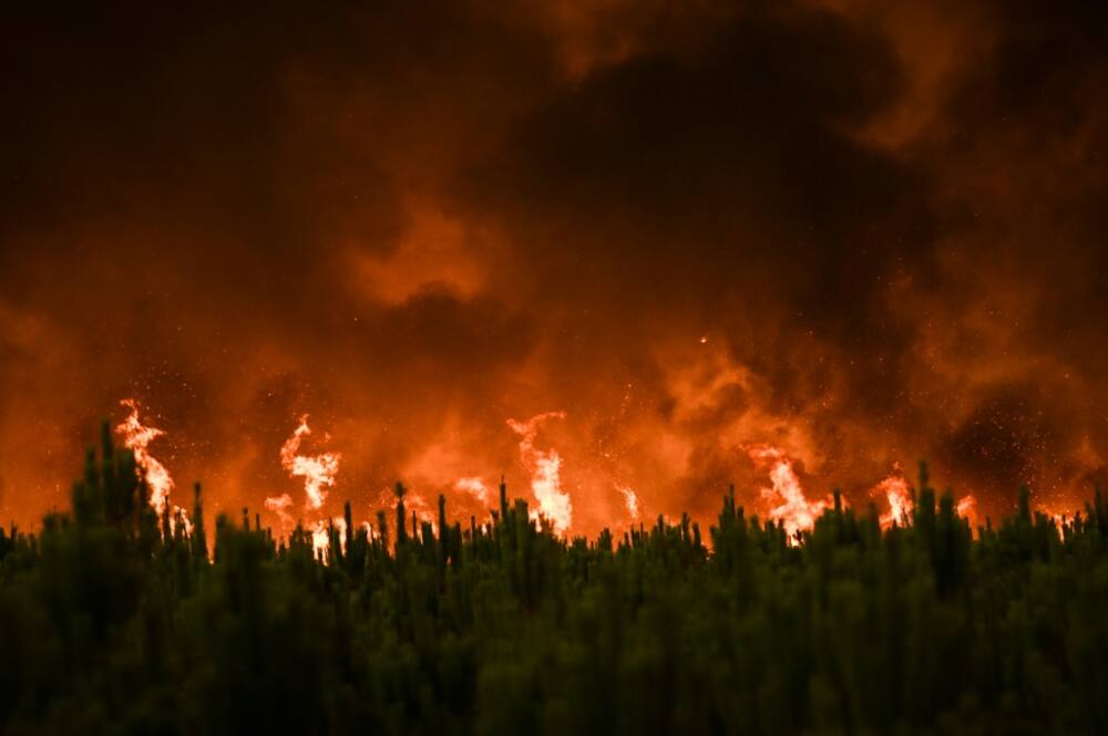 2021 was one of the worst years for forest fires since the turn of the century