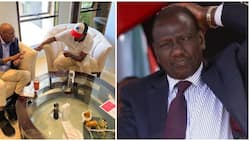 Moses Kuria, William Kabogo Accuse Ruto of Planning to Finish Mt Kenya Politically: "It's Clear"