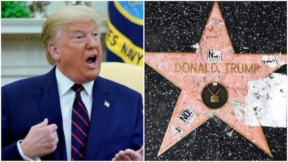Donald Trump's Hollywood star vandalized with graffiti