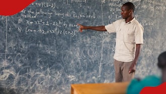 Migori Man Says Mwalimu Wa Math Phrase Is Hate Speech, Asks Gov't to Ban It: "Teachers Are Shamed"