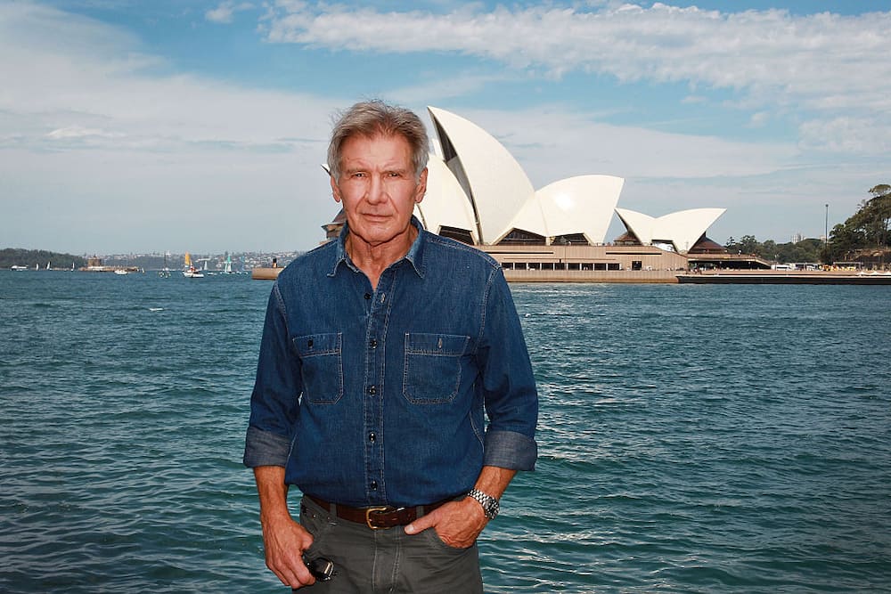Is Harrison Ford gay?