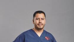 What happened to Hector on Dr. Jeff Rocky Mountain Vet?