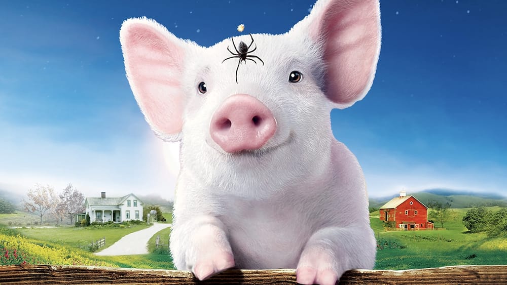 Pigs in movies