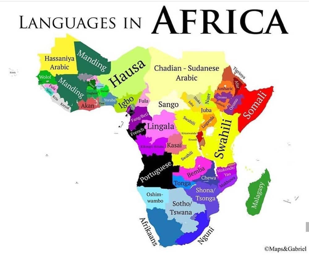 Most spoken languages in Africa
