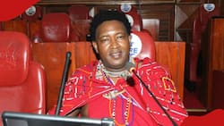 Ledama Olekina Awataka Manaibu Kuondoka Ofisini Magavana Watakapotimuliwa: "Haki kwa wote"
