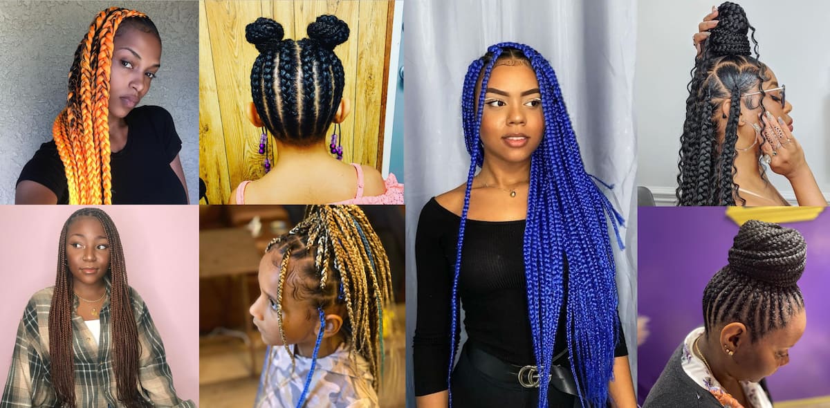 23 Best Long Box Braids Hairstyles And Ideas  Blonde braids, Box braids  styling, Box braids hairstyles