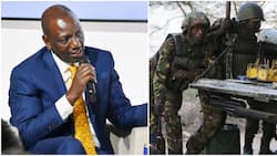 I Don't Regret Reopening Kenya-Somalia Border, William Ruto Says amid al Shabaab Resurgence