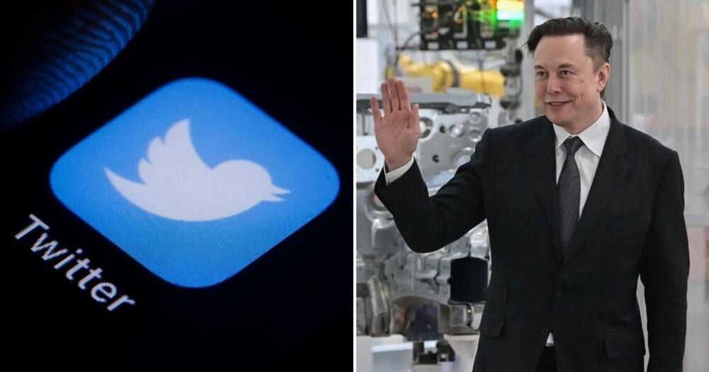 Business News, Twitter shares, Elon Musk announces 9% stake, in social media platform