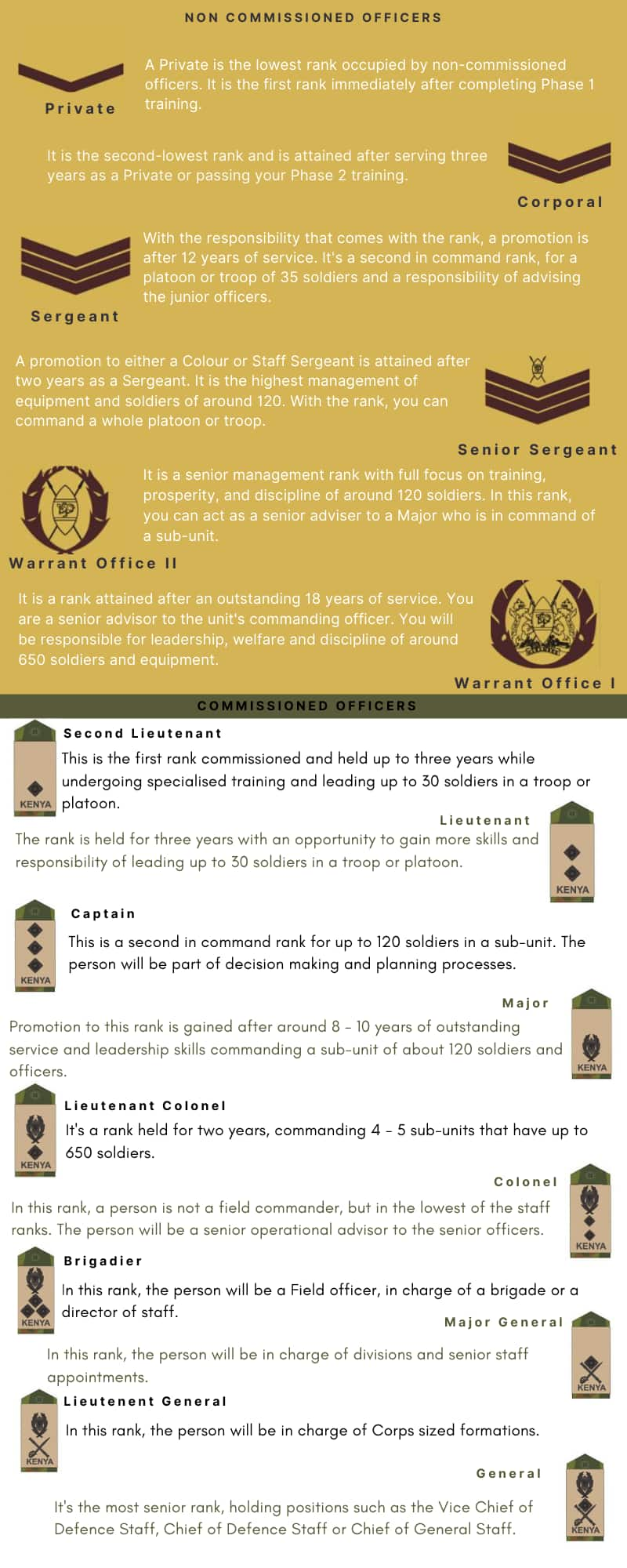 army warrant officer promotion list 2019 release date