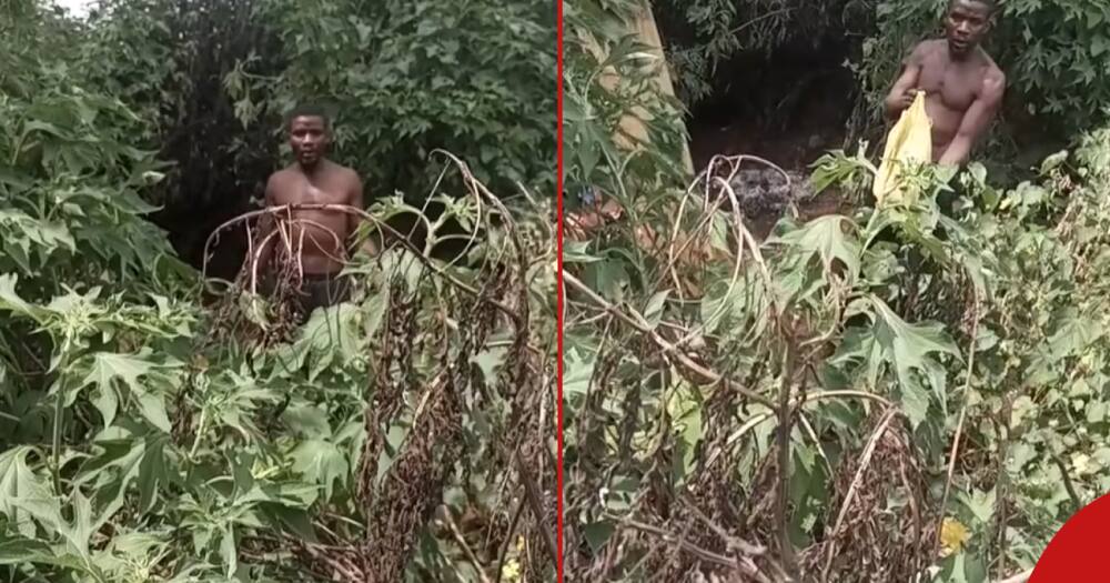 Footage showed people confronting a Kenyan man living in a bush.