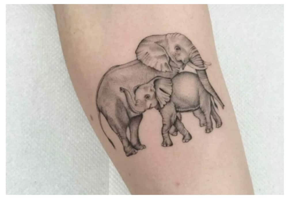 motherhood elephant family tattoo