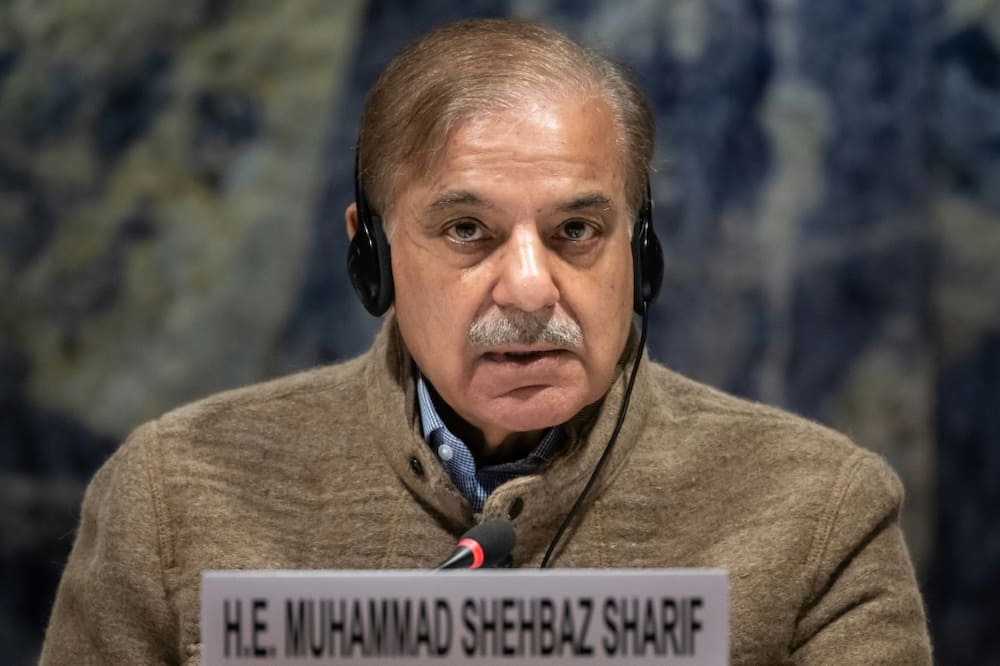 Shehbaz Sharif said he was trying to persuade the IMF to give Islamabad some breathing space