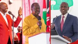 Raila Odinga Adai William Ruto Amefeli katika Mwaka Wake wa 1 Ikulu: "Ni Watu wa D"