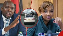 Kenyans Demand Karen Nyamu's Arrest After CS Murkomen Goes After Youth Hanging Outside Mercedes Benz
