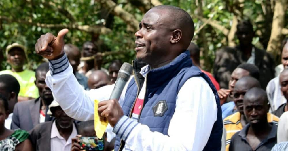 Senator Malala accuses police of stealing KSh 2 million from him during Matungu by-election chaos