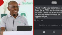 M-Pesa Delay: Safaricom Offers Cash Back to Customers for Their Patience Following 1-Hour Disruption