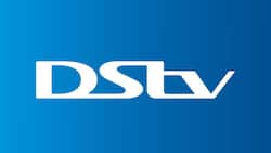 DStv EasyView channels list in 2023: How much does it cost?