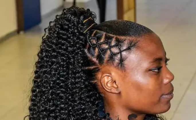 Over 180 Ponytail Hairstyles for Black Women in 2022