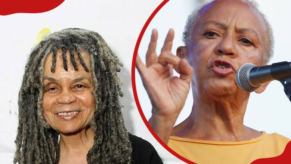 A collage of Poet Sonia Sanchez at the "Soul Food Junkies" New York Premiere and Poet Nikki Giovanni during the 12th Annual Afropunk Brooklyn Festival