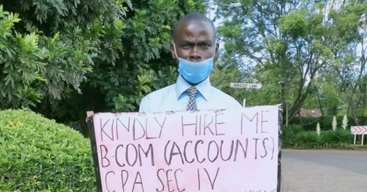 Nairobi Graduate 29 Begs For Job In Streets After Losing Accountant   C5d8b53804d1c95f 