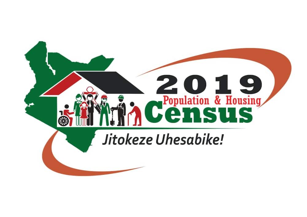 2019 census