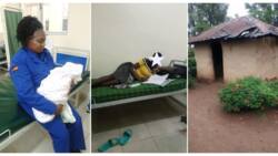 Kisii KCPE Candidate Who Sat Exam After Giving Birth Lives in Deplorable Condition, Well-Wishers Unite to Help