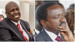 KANU Fronts Gideon Moi for Chief Minister as Kalonzo's Space in Azimio Continues to Wane