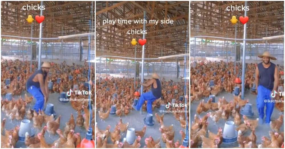Ikechukwu dances for his chickens.