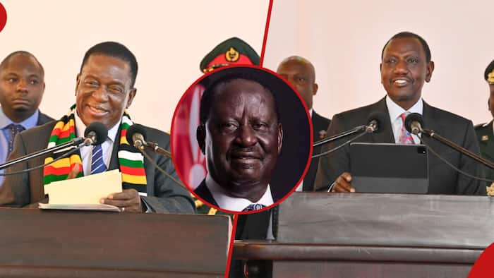 Win for Raila Odinga as Ruto Secures Zimbabwe's Support for His AU Commission's Bid