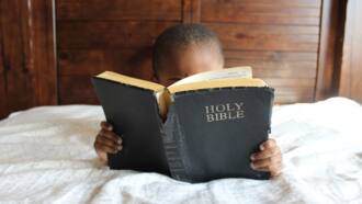 list of 66 books of the bible