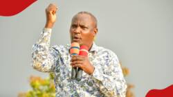 John Mbadi Gives Up on Homa Bay Gubernatorial Bid, Vows to Reclaim His MP Seat: "I'm Back"