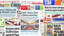Kenyan Newspapers Review: Mudavadi and Karua Lead in Running Mate Race, Kalonzo May Run for Presidency