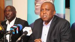 Telkom Buyout: MPs Reject KSh 6b Gov't Acquisition of Telco During Uhuru Kenyatta's Era