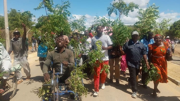 LAMU: Disabled man moves Kenyans with passionate protest against land grabbing