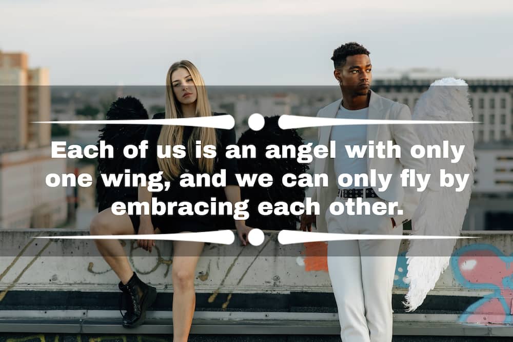 Wings quotes for Instagram