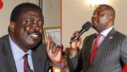 UDA MP Claims Musalia Mudavadi Has Performed Poorly in Kenya Kwanza Govt: "Very Dismal"