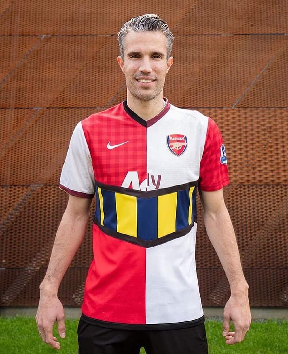 What are some of Robin van Persie's honours?