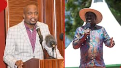 Moses Kuria Says Raila Will Vie for Presidency in 2027 Even if He Wins AU Seat: "Filling Time"