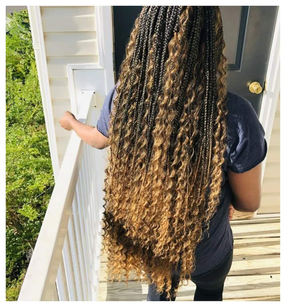 20 best knotless braids with curly ends for a stunning look - Tuko